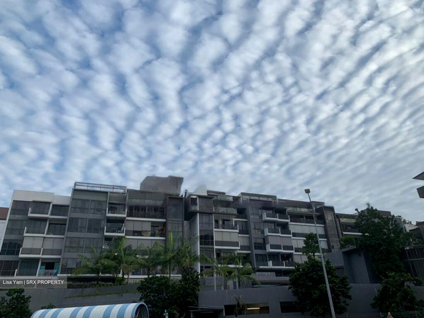 Stratum (D18), Condominium #482528001